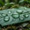 Cosa rende l'acqua così speciale?
